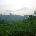 Olahraga Pagi, Menyegarkan Inspirasi